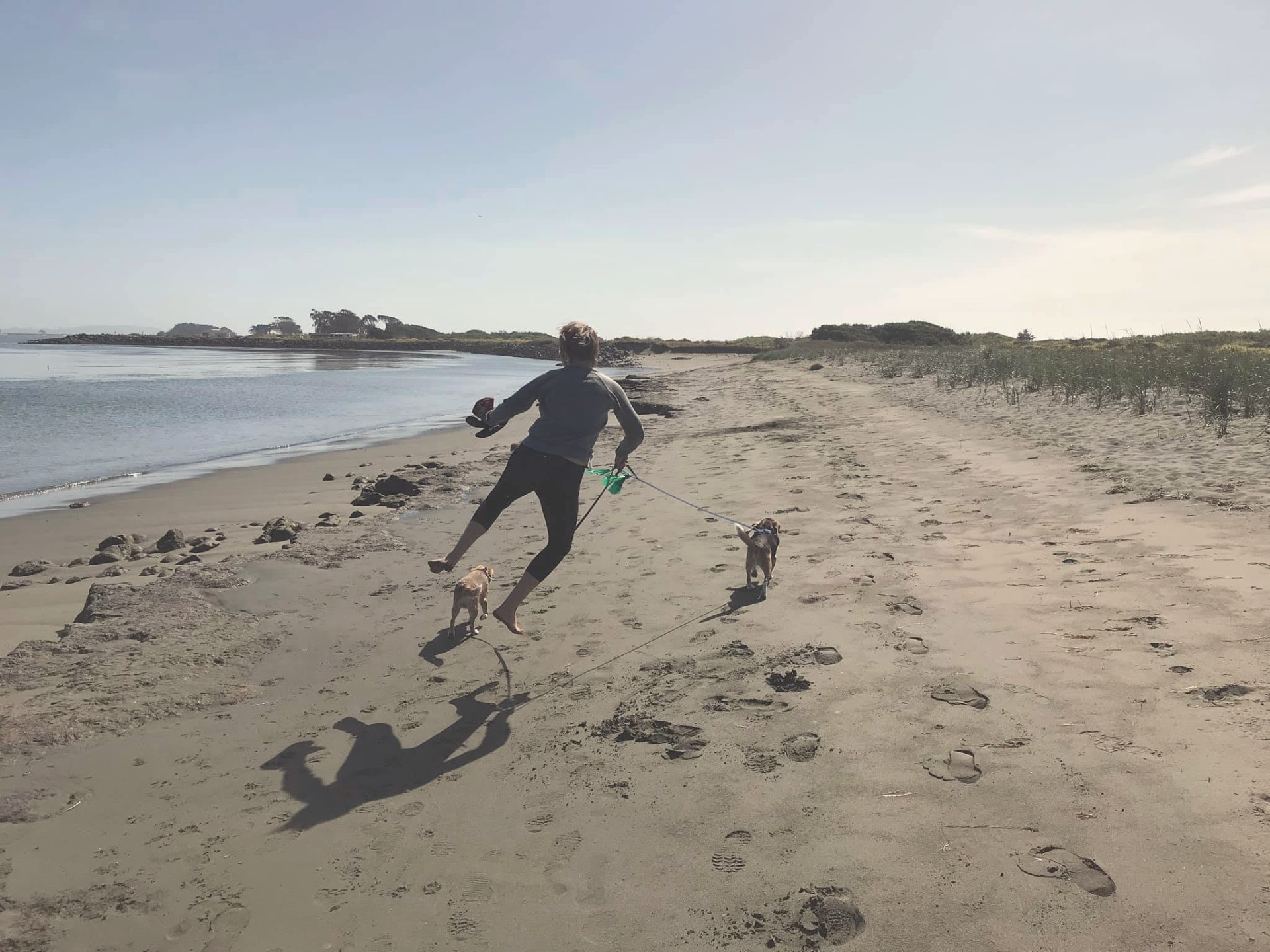 Anne-Marie running along a sandy beach with her two dogs